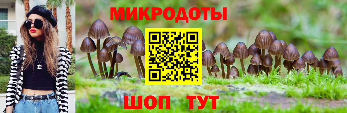 Галлюциногенные грибы прущие грибы  Вход с VPN  Галлюциногенные грибы GOLDEN TEACHER  Ижевск 